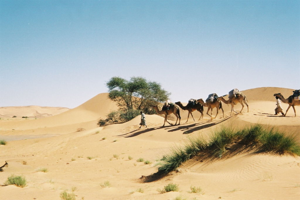 Mauritanie