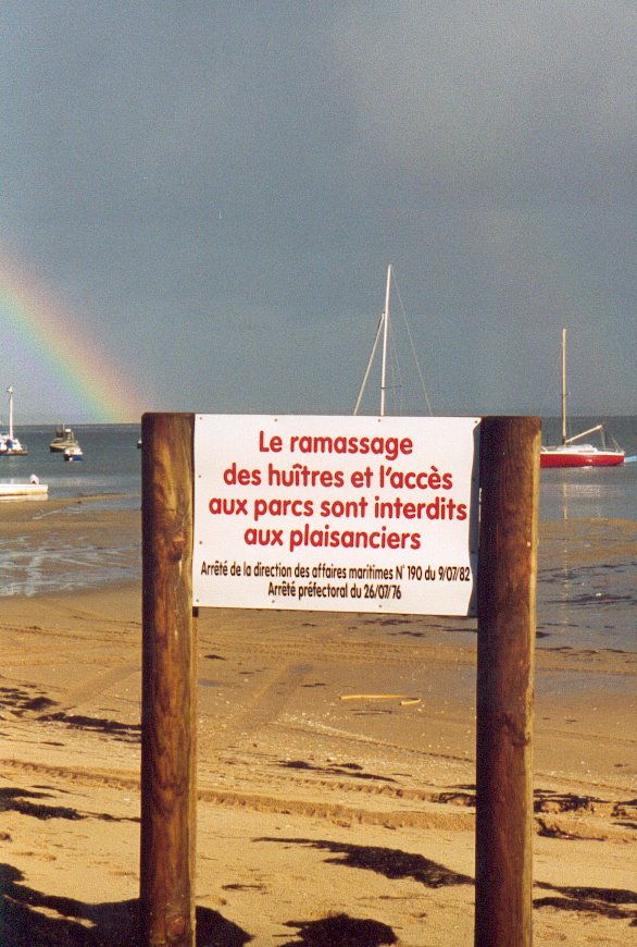 pinasse1_red